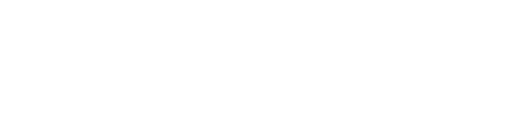 zebra puzzles